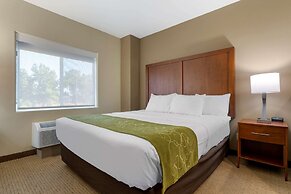 Comfort Suites Marysville - Yuba City