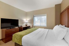 Comfort Suites Marysville - Yuba City