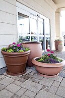 Kitchener Inn & Suites