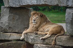 Holiday Inn Express and Suites Kitchener Southeast by IHG