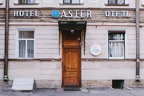 Nevsky Aster