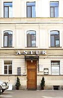 Nevsky Aster