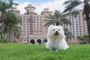 Rosen Shingle Creek