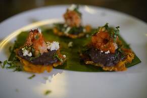 Quinta Eden Villahermosa