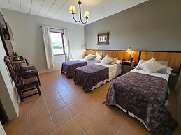 Glaciares De La Patagonia