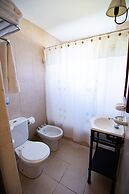 Glaciares De La Patagonia