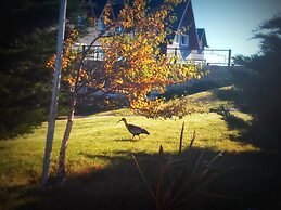 Alto Calafate Hotel Patagonico