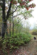 Carolyn Beach Inn & Restaurant