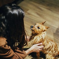 Petit Palace Plaza España