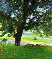 Tenuta Monacelle