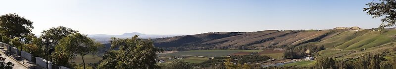 Los Olivos