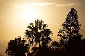 Apartamentos Fuentepark