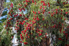 Playavera Hotel - Naturist Friendly