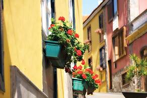 Hotel Rural Senderos de Abona