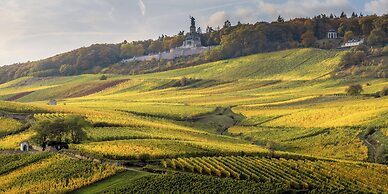Weinhotel des Riesling Zum Grünen Kranz