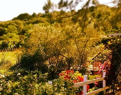 Hotel Etrusco