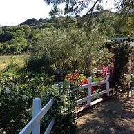 Hotel Etrusco