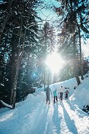 Hôtel Vacances Bleues Les Chalets du Prariand