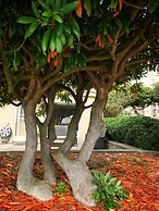 Star of the Sea Guest House