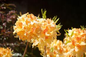 Star of the Sea Guest House