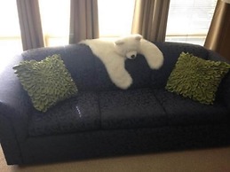 Anchorage Walkabout Town B&B