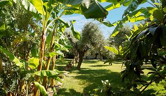 TONICELLO Hotel Resort & SPA