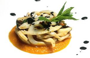 TONICELLO Hotel Resort & SPA