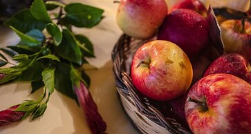 TONICELLO Hotel Resort & SPA