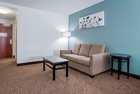 Sleep Inn & Suites Auburn Campus Area I-85