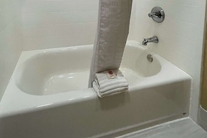 Comfort Suites Near Seaworld