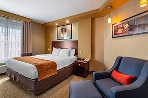 Comfort Suites Perrysburg - Toledo South