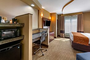 Comfort Suites Perrysburg - Toledo South