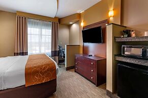 Comfort Suites Perrysburg - Toledo South