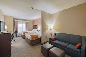 Comfort Suites Perrysburg - Toledo South