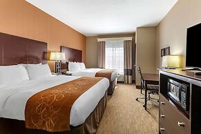 Comfort Suites Perrysburg - Toledo South