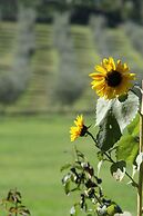 Villa Campestri Olive Oil Resort