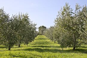 Villa Campestri Olive Oil Resort