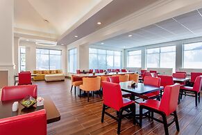 Hilton Garden Inn Tampa Northwest/Oldsmar