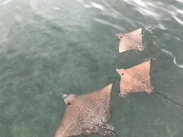 Cerf Island Resort