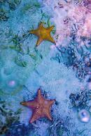 Hotel Bocas del Toro