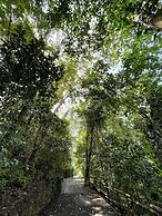 Arenas Del Mar Beachfront & Rainforest Member of the Cayuga Collection