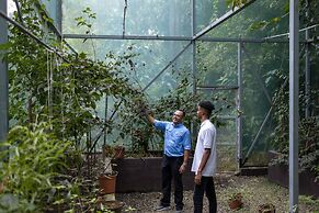 Arenas Del Mar Beachfront & Rainforest Member of the Cayuga Collection