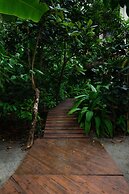 Arenas Del Mar Beachfront & Rainforest Member of the Cayuga Collection