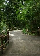 Arenas Del Mar Beachfront & Rainforest Member of the Cayuga Collection