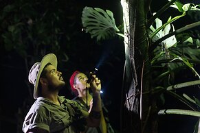 Arenas Del Mar Beachfront & Rainforest Member of the Cayuga Collection