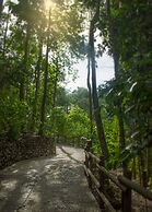 Arenas Del Mar Beachfront & Rainforest Member of the Cayuga Collection