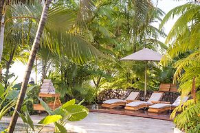 Arenas Del Mar Beachfront & Rainforest Member of the Cayuga Collection