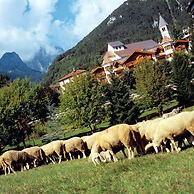 Du Lac Vital Mountain Hotel