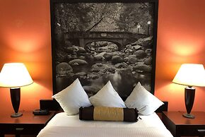 Super 8 by Wyndham Ontario