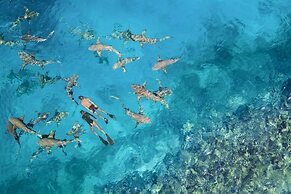 Anantara Veli Maldives Resort - Adults Only